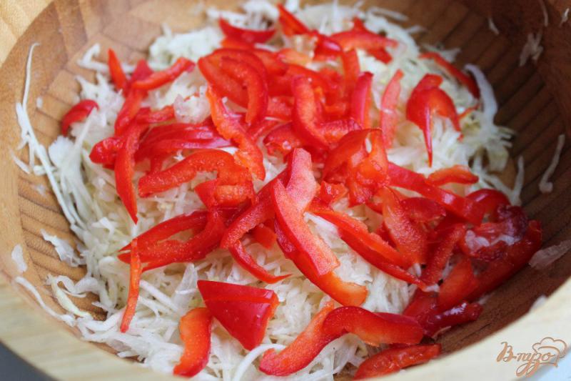 Фото приготовление рецепта: Салат из капусты с болгарским перцем и луком шаг №3
