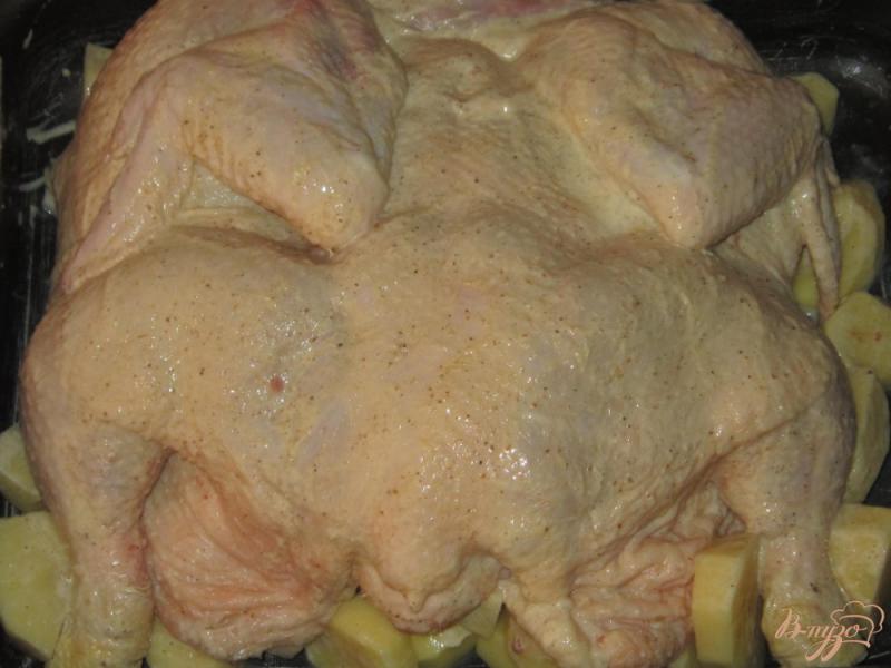 Фото приготовление рецепта: Курица запеченная с картофелем в духовке шаг №4
