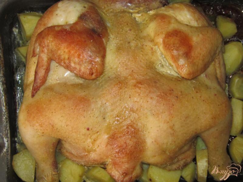 Фото приготовление рецепта: Курица запеченная с картофелем в духовке шаг №5
