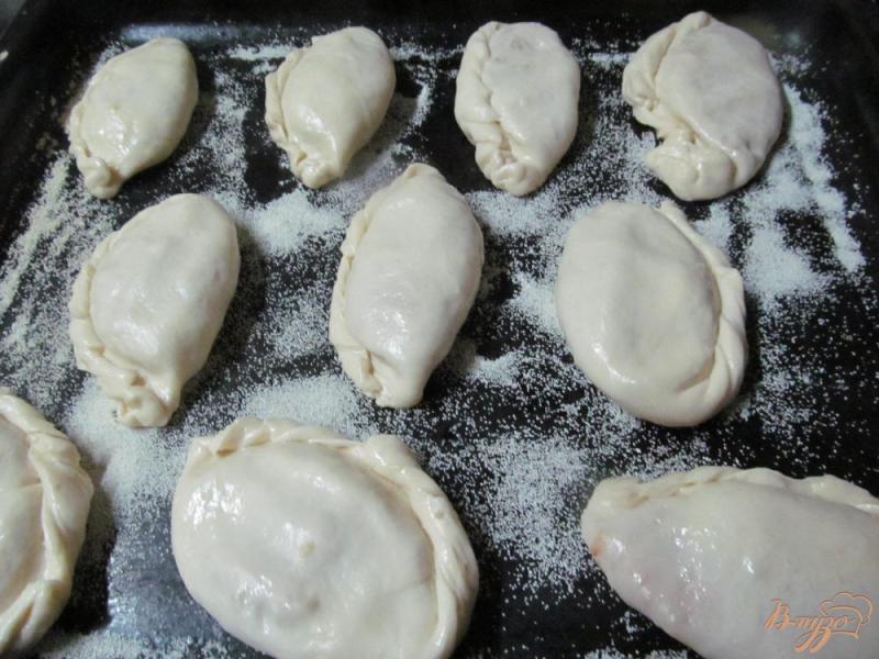 Фото приготовление рецепта: Пирожки с куриным фаршем шаг №10