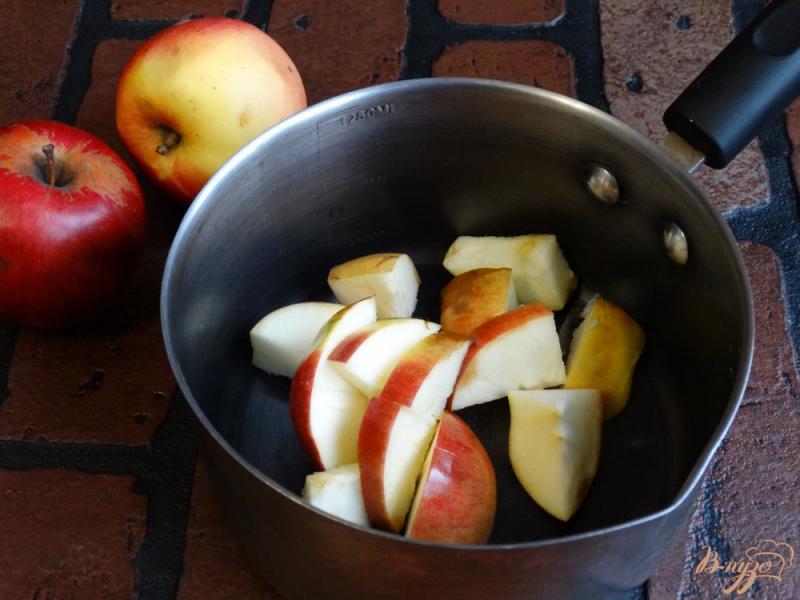 Фото приготовление рецепта: Яблочно-клюквенный компот с анисом шаг №1