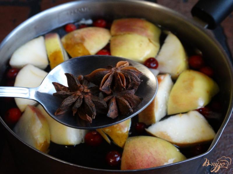 Фото приготовление рецепта: Яблочно-клюквенный компот с анисом шаг №5