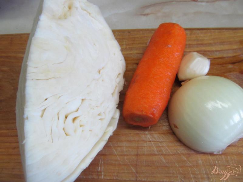 Фото приготовление рецепта: Котлеты с овощами в духовке шаг №1