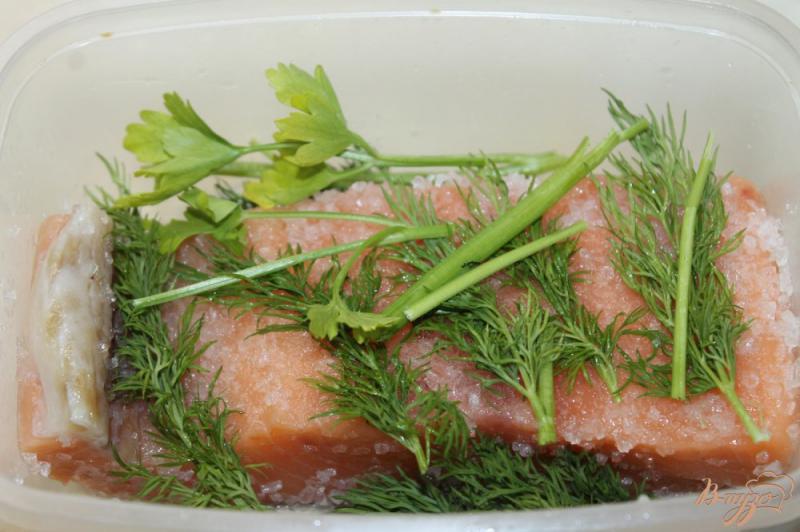 Фото приготовление рецепта: Приготовления слабо соленного лосося шаг №4