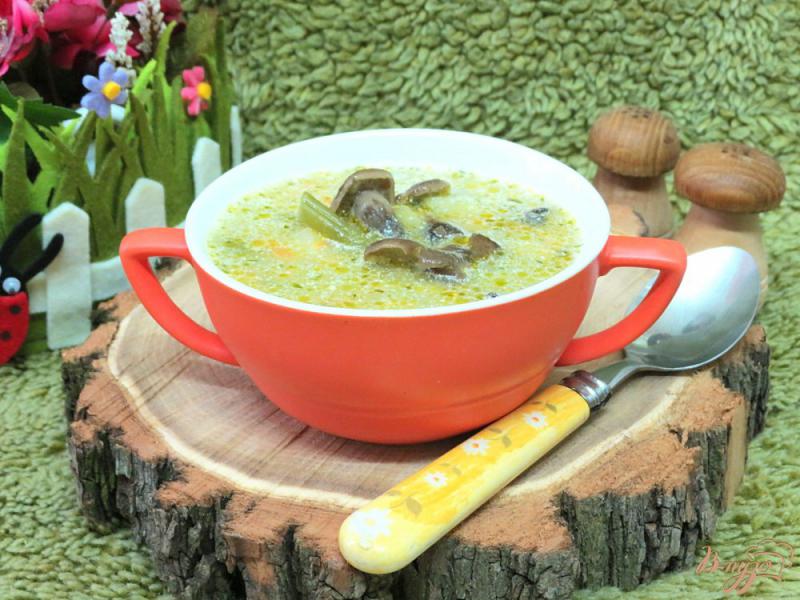 Фото приготовление рецепта: Суп с опятами, шпинатом  и спаржевой фасолью шаг №9