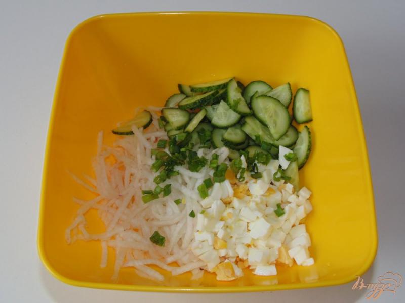 Фото приготовление рецепта: Салат из красной редьки со свежим огурцом шаг №4
