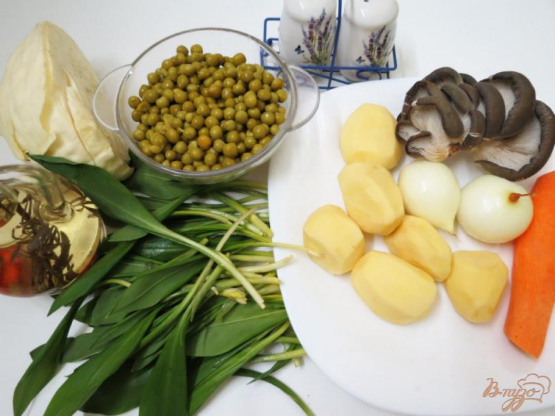 Фото приготовление рецепта: Суп с грибами, горошком и черемшой шаг №1