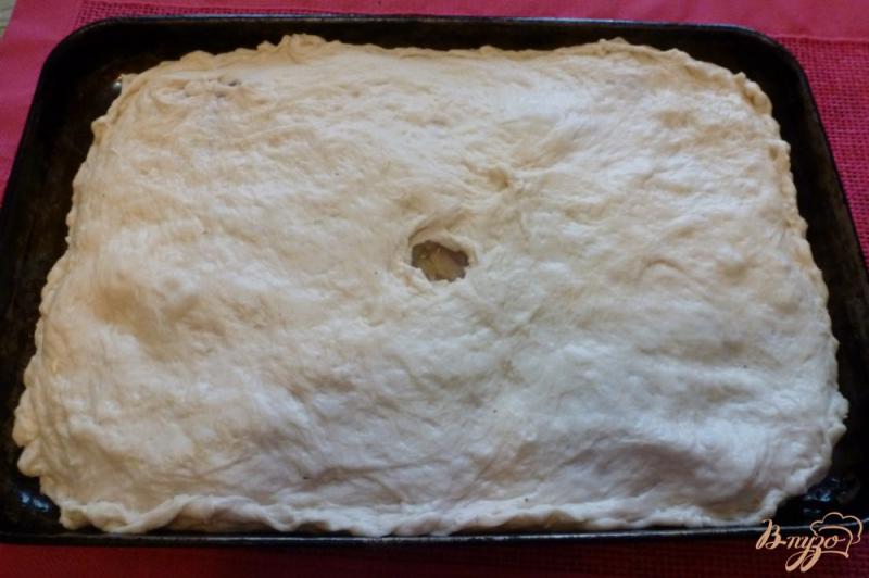 Фото приготовление рецепта: Пирог с капустой и индейкой шаг №3