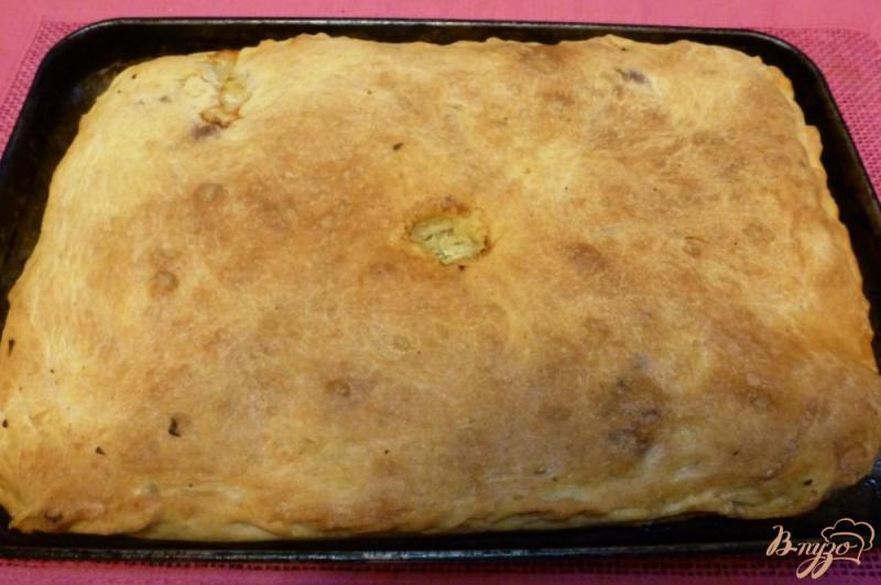 Фото приготовление рецепта: Пирог с капустой и индейкой шаг №4