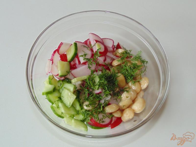 Фото приготовление рецепта: Салат из редиса, свежего огурца и белой фасоли шаг №3