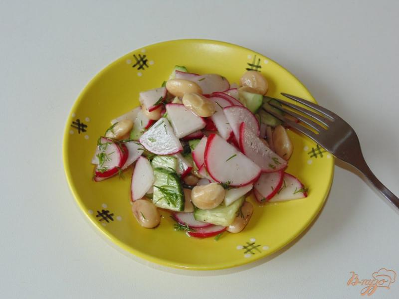 Фото приготовление рецепта: Салат из редиса, свежего огурца и белой фасоли шаг №4
