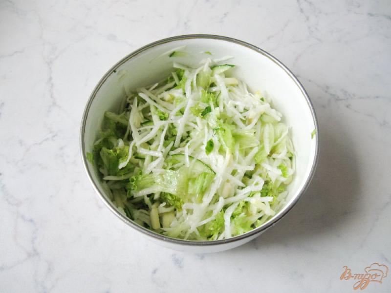 Фото приготовление рецепта: Весенний салат из овощей с яблоком и редькой шаг №7