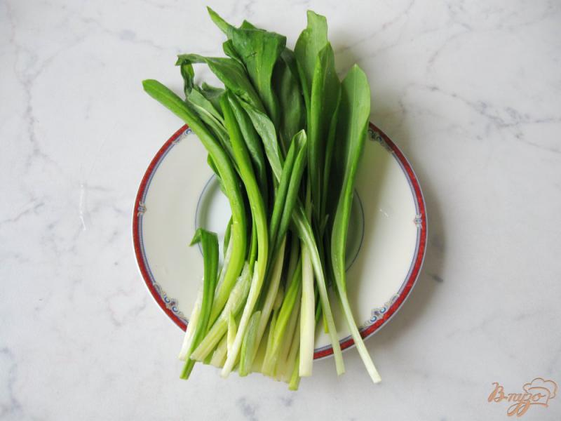 Фото приготовление рецепта: Весенний салат с огурцом, черемшой и помидором шаг №1