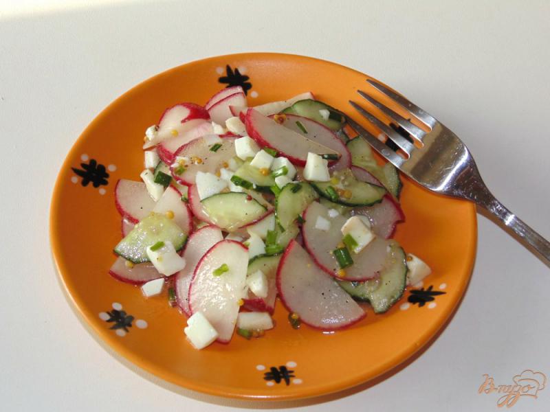 Фото приготовление рецепта: Салат из редиса и огурца шаг №5