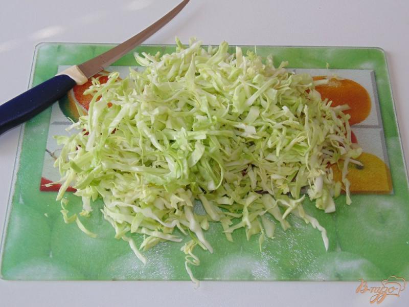 Фото приготовление рецепта: Салат из молодой капусты с огурцом шаг №1