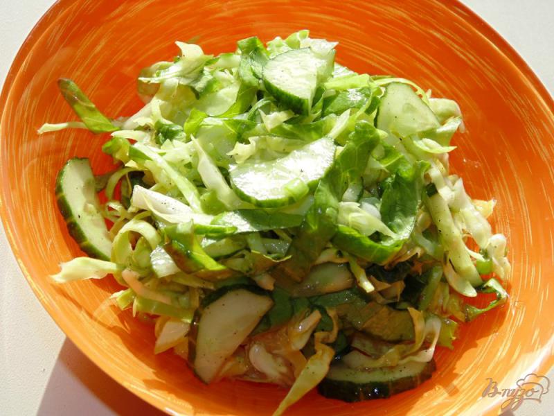 Фото приготовление рецепта: Салат из молодой капусты с листьями салата шаг №5