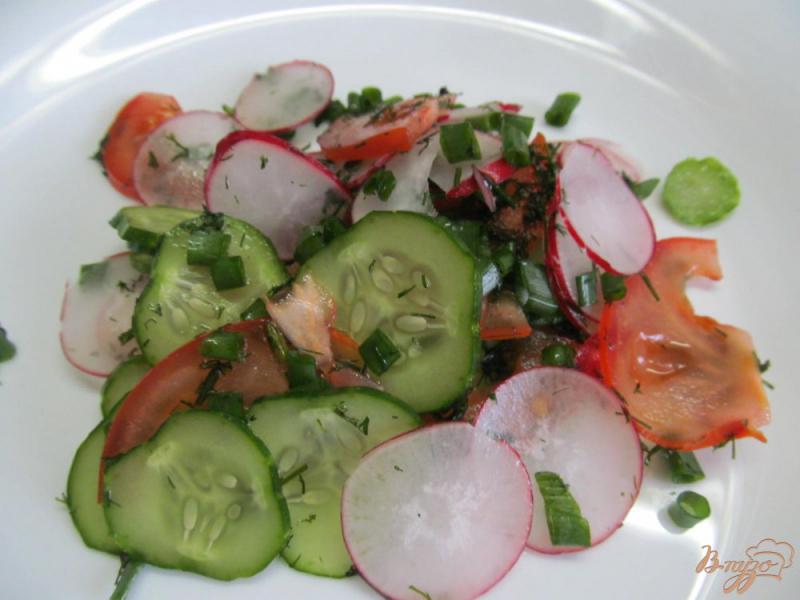 Фото приготовление рецепта: Салат из редиса с огурцом и сыром шаг №5