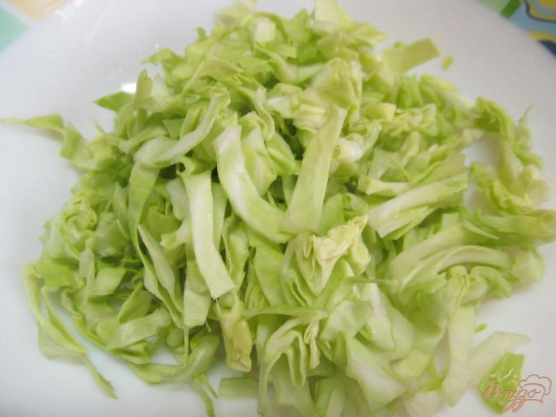 Фото приготовление рецепта: Салат из молодой капусты с тыквой и перцем шаг №1