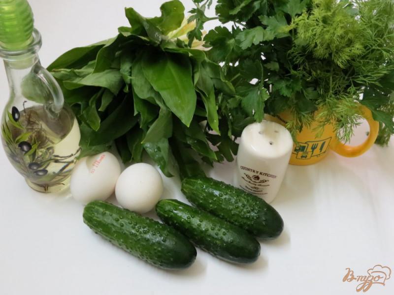 Фото приготовление рецепта: Салат из черемши с огурцом шаг №1