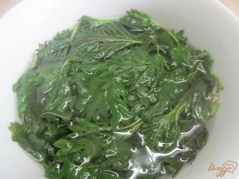 Фото приготовление рецепта: Зеленый салат с крапивой и щавелем шаг №1
