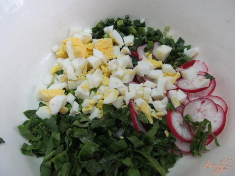Фото приготовление рецепта: Салат из редиса с щавелем шаг №2