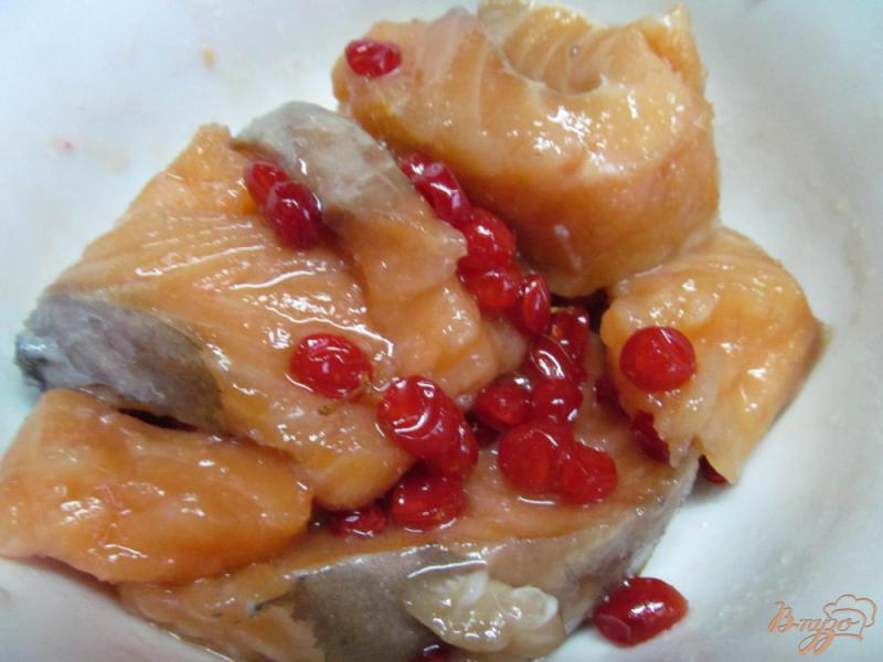 Фото приготовление рецепта: Засолка семги с медом и калиной шаг №5