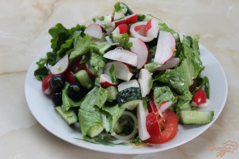 Фото приготовление рецепта: Салат с редиса, листа салата и маслин шаг №7