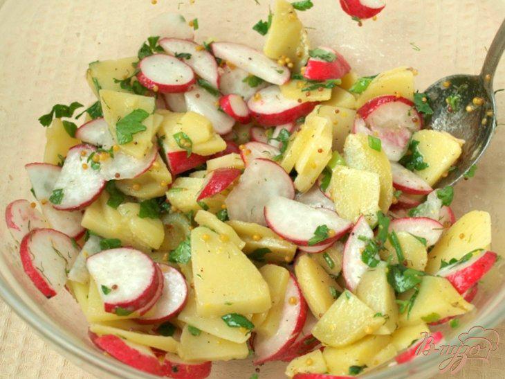 Фото приготовление рецепта: Салат из картофеля и редиса с медово-горчичной заправкой шаг №5