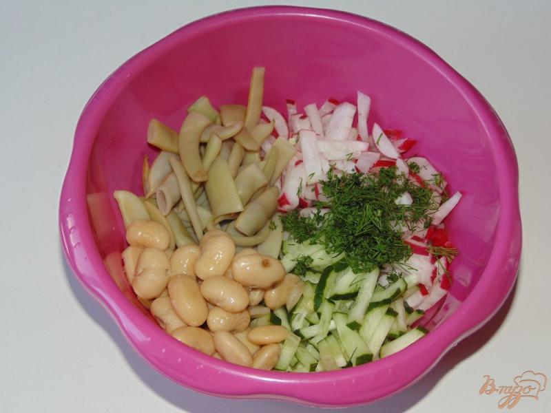 Фото приготовление рецепта: Салат из двух видов фасоли, редиса и огурца шаг №4