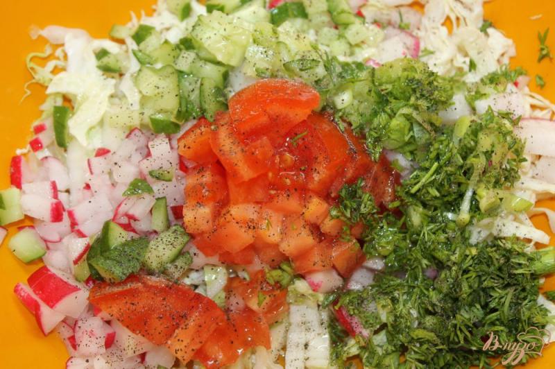 Фото приготовление рецепта: Салат с пекинской капусты, огурца и редиса шаг №4