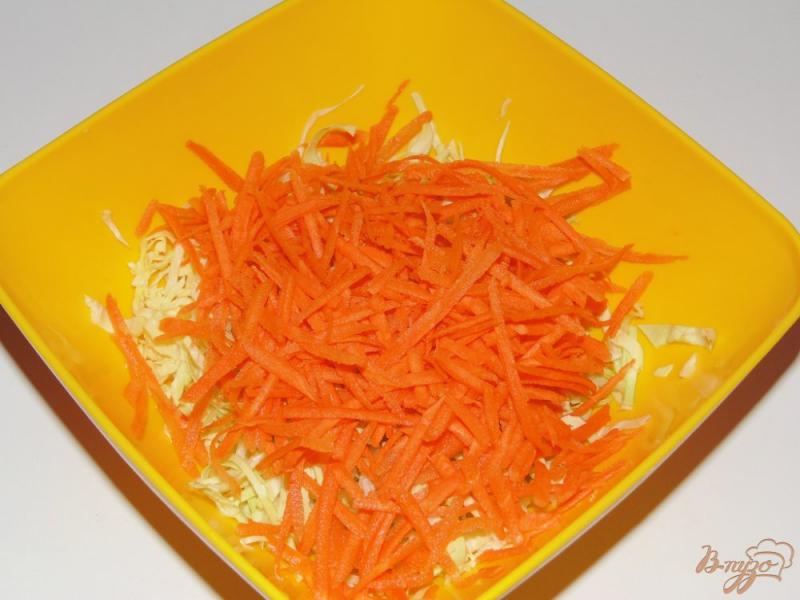 Фото приготовление рецепта: Салат из молодой капусты с морковью и мясом птицы шаг №3