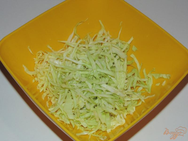 Фото приготовление рецепта: Салат из молодой капусты с морковью и мясом птицы шаг №2