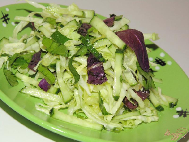 Фото приготовление рецепта: Салат из молодой капусты со свежим базиликом и огурцом шаг №4