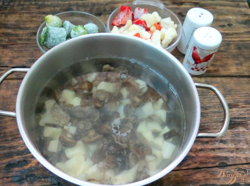 Фото приготовление рецепта: Суп овощной с опятами шаг №2