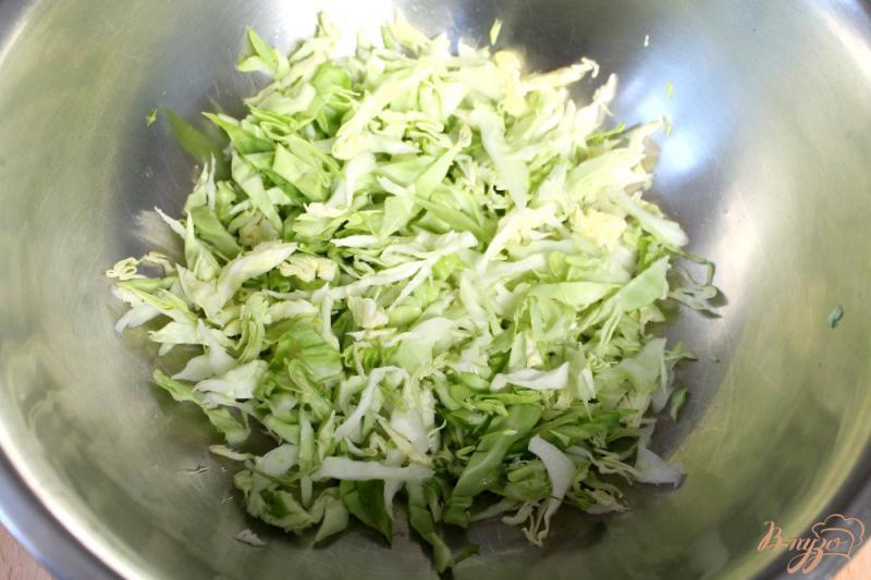 Фото приготовление рецепта: Салат из молодой капусты, редиса и шпината шаг №1