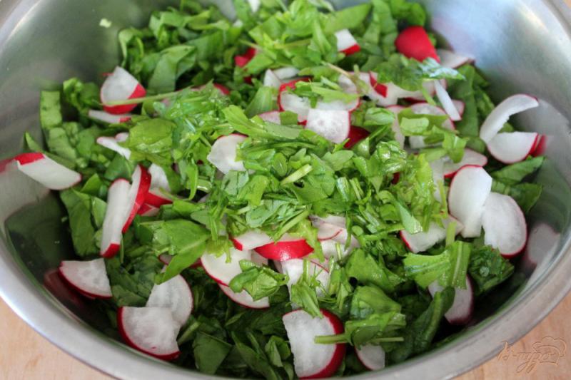 Фото приготовление рецепта: Салат из молодой капусты, редиса и шпината шаг №3