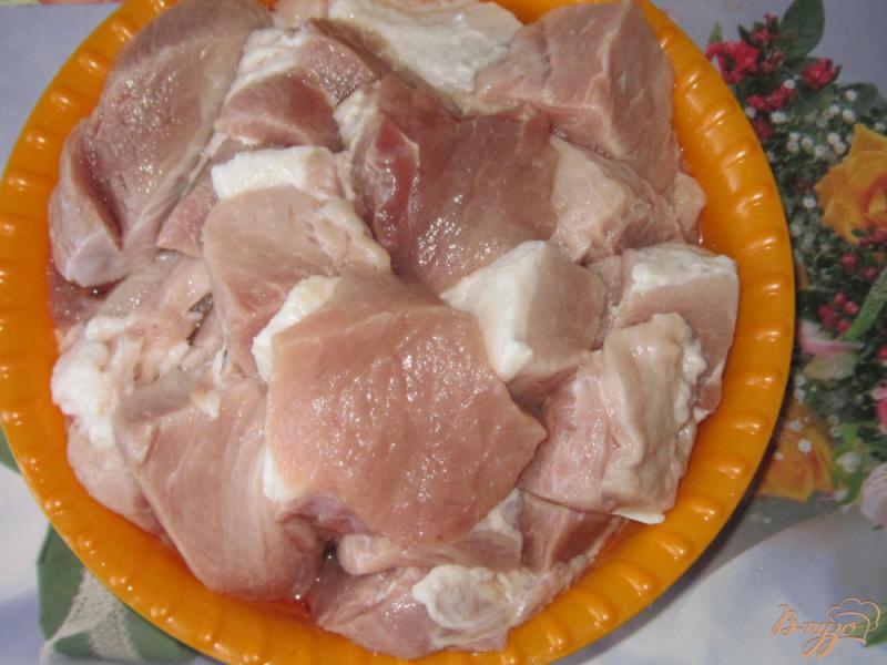 Фото приготовление рецепта: Шашлык из свинины маринованный в минералке шаг №1
