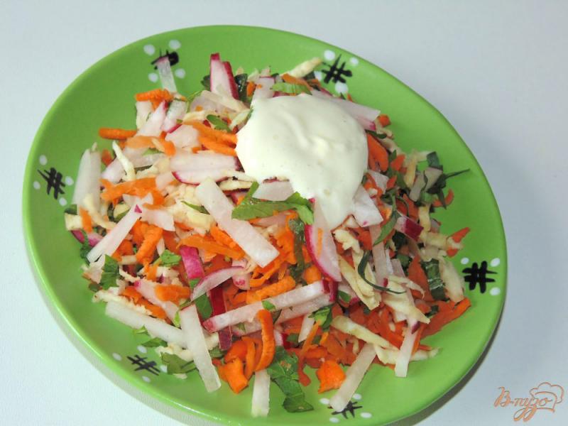 Фото приготовление рецепта: Салат из редиса, моркови и сельдерея шаг №5