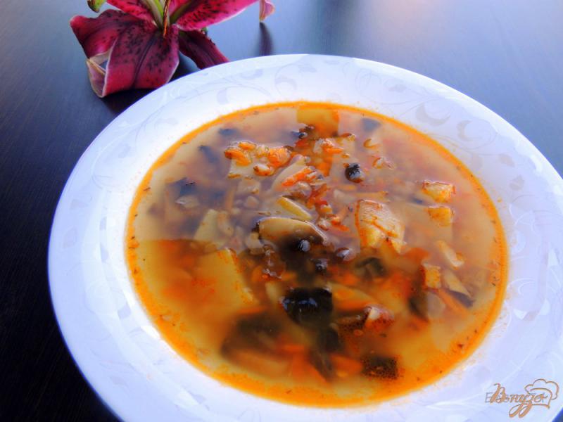 Фото приготовление рецепта: Суп с гречкой и шампиньонами шаг №6