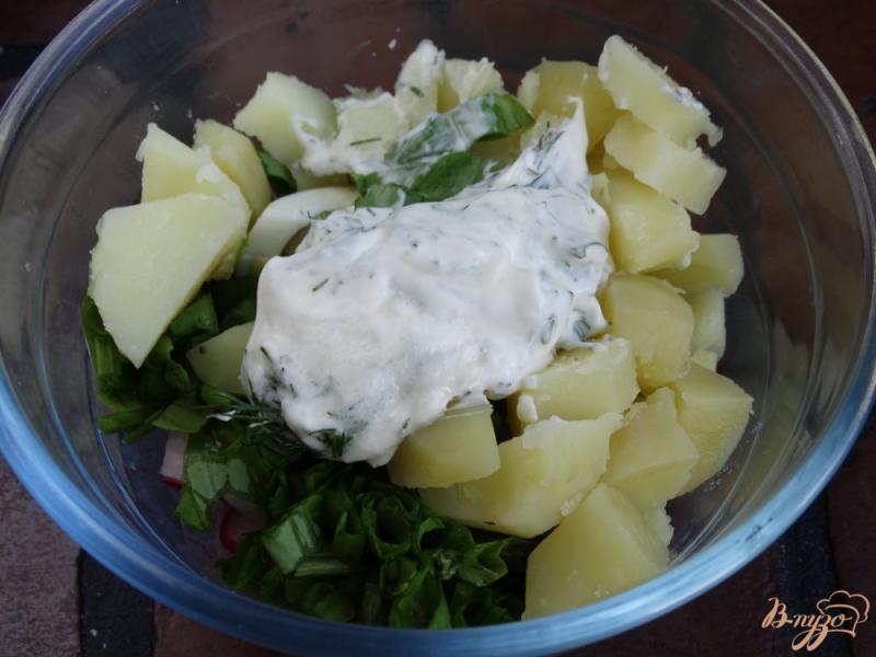 Фото приготовление рецепта: Салат с щавелем, гренками, яйцом и картофелем шаг №7