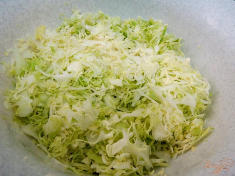 Фото приготовление рецепта: Салат из капусты с медовой заправкой шаг №2