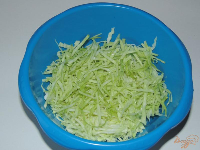 Фото приготовление рецепта: Салат из молодой капусты с куриными желудками и нутом шаг №2