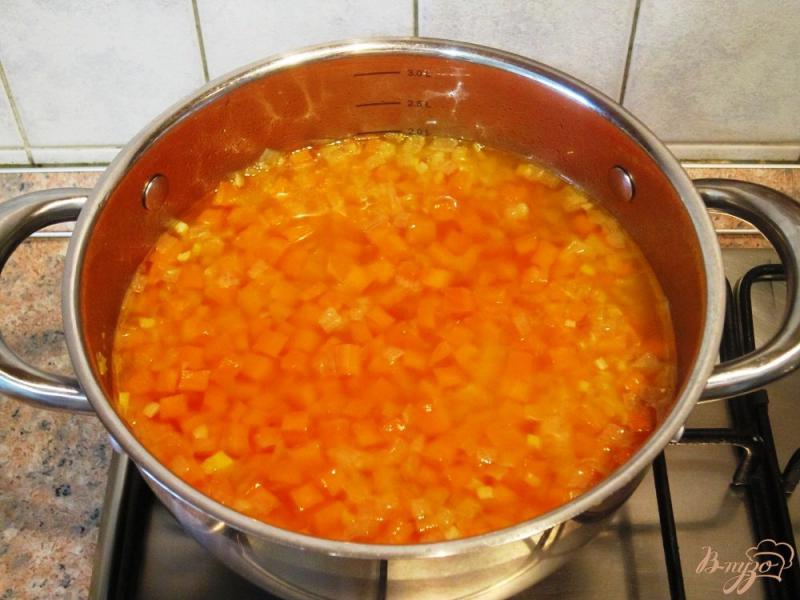 Фото приготовление рецепта: Суп-пюре из моркови с бараниной шаг №9