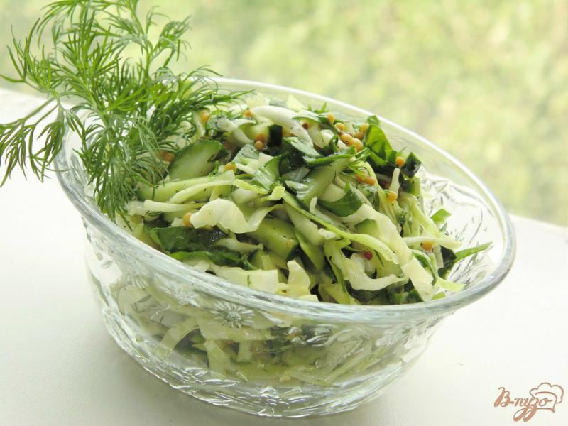Фото приготовление рецепта: Низкокалорийный салат со шпинатом шаг №5