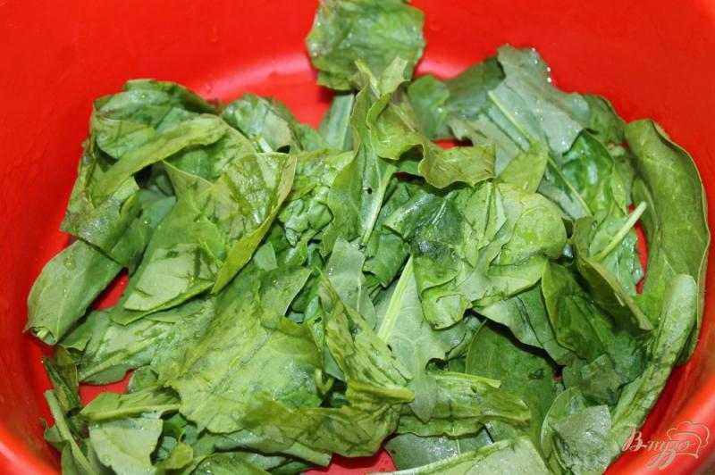Фото приготовление рецепта: Салат с листьями, моцареллой и копченой колбасой шаг №1