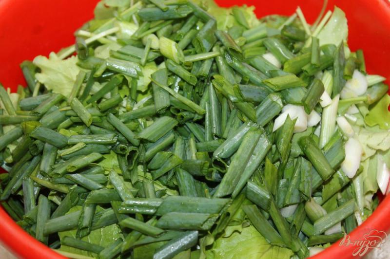 Фото приготовление рецепта: Салат с листьями, моцареллой и копченой колбасой шаг №4
