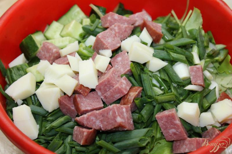 Фото приготовление рецепта: Салат с листьями, моцареллой и копченой колбасой шаг №5