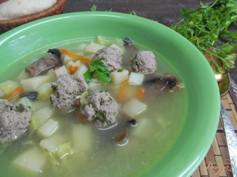 Фото приготовление рецепта: Суп с молодой капустой и фрикадельками шаг №5