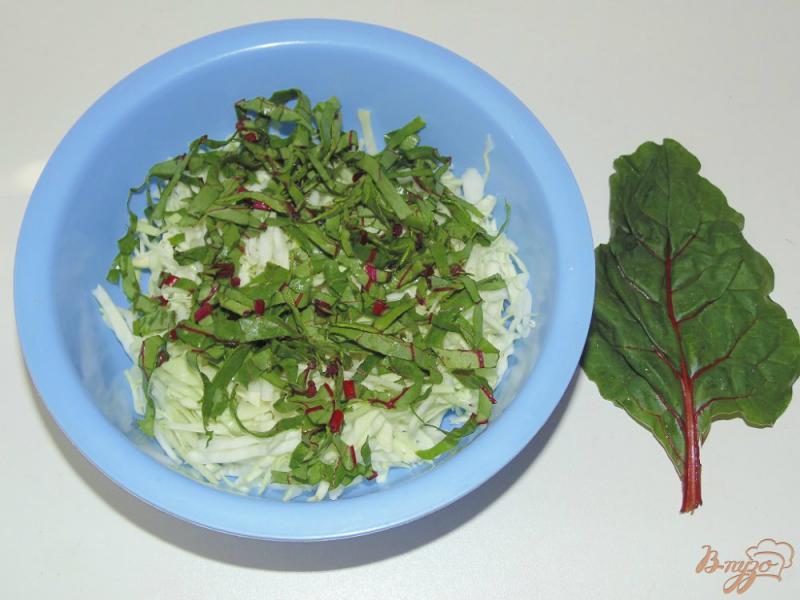 Фото приготовление рецепта: Капустный салат с мангольдом и базиликом шаг №2