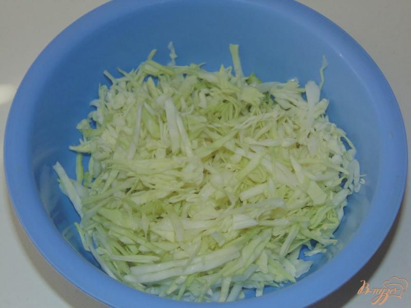 Фото приготовление рецепта: Капустный салат с мангольдом и базиликом шаг №1